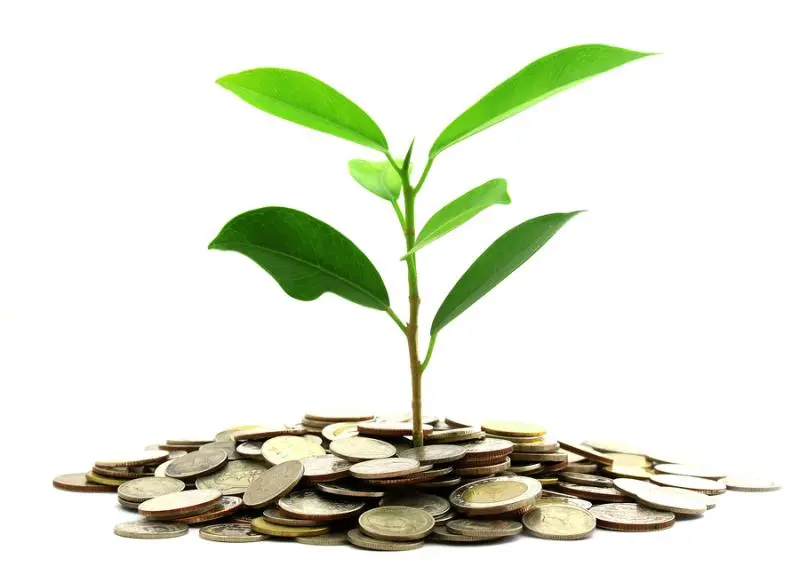 Инвестиции SKF в сохранение экологии | Свежие новости в Саранске